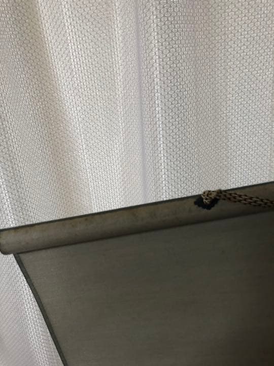 レア！桐山紫香 掛軸 半切アンドン 椿 麻 きもの 伝統工芸品 京都