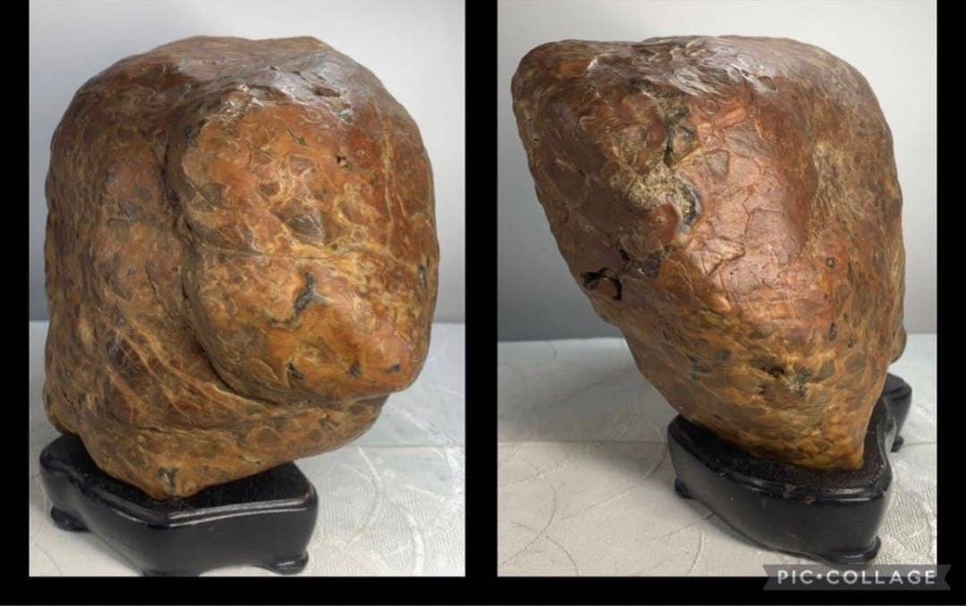 3938瀬田川飴豹石 ウブ 横21×高17×奥行11.5(cm) 5.86kg