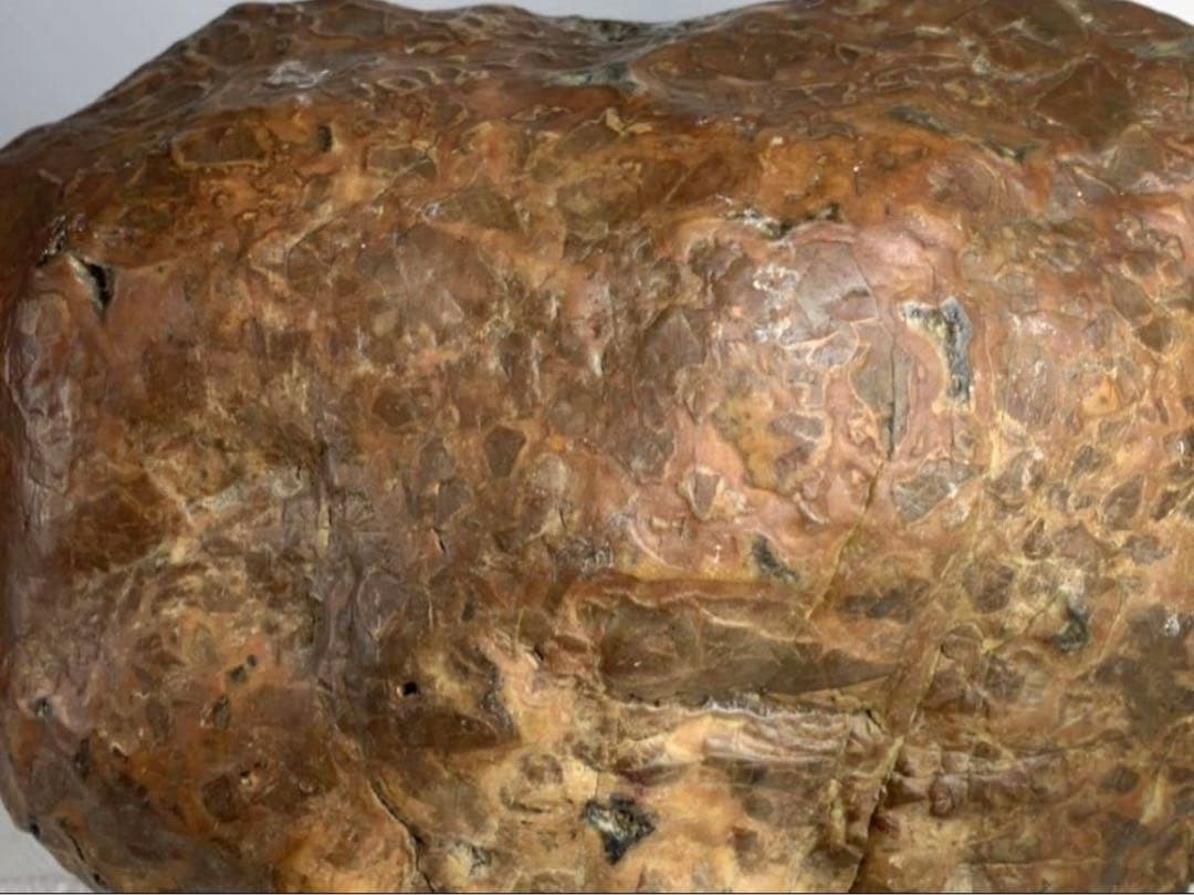 3938瀬田川飴豹石 ウブ 横21×高17×奥行11.5(cm) 5.86kg