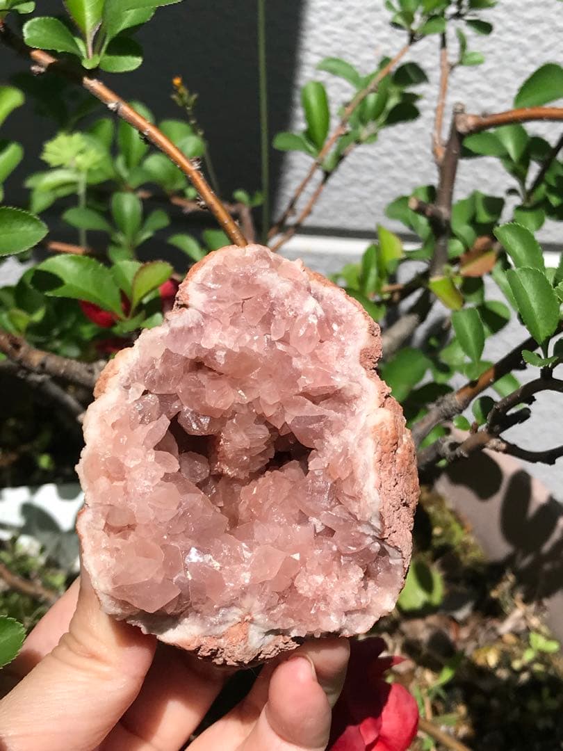 ☘️希少❤️奇跡　ピンクアメジスト ドーム パワーストーン 天然石 置き物