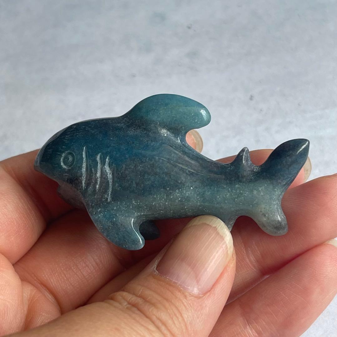 トロレアイト 鮫 サメ