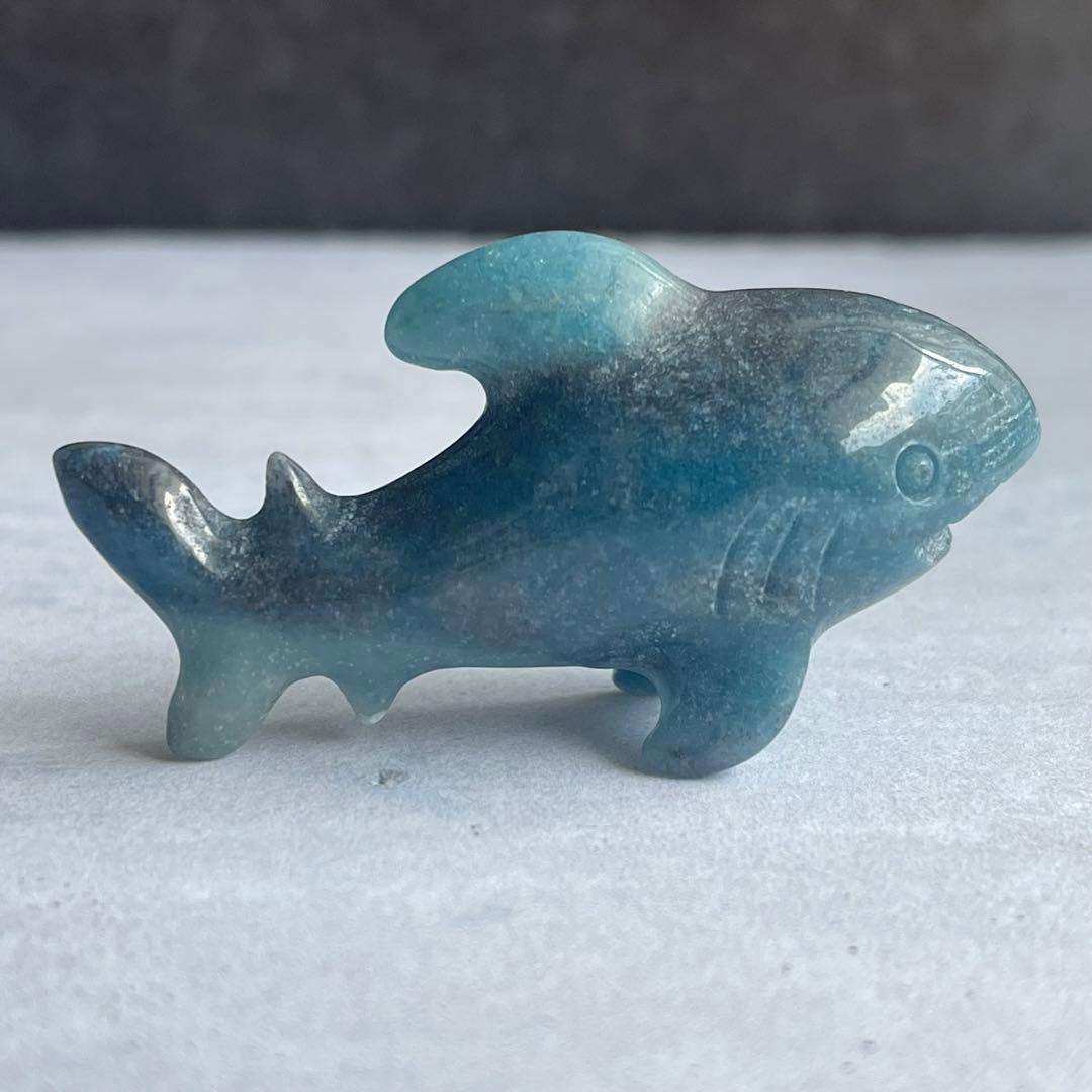 トロレアイト 鮫 サメ