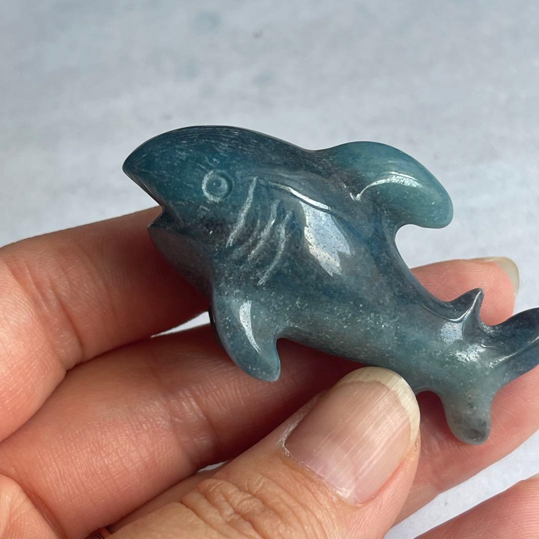 トロレアイト 鮫 サメ