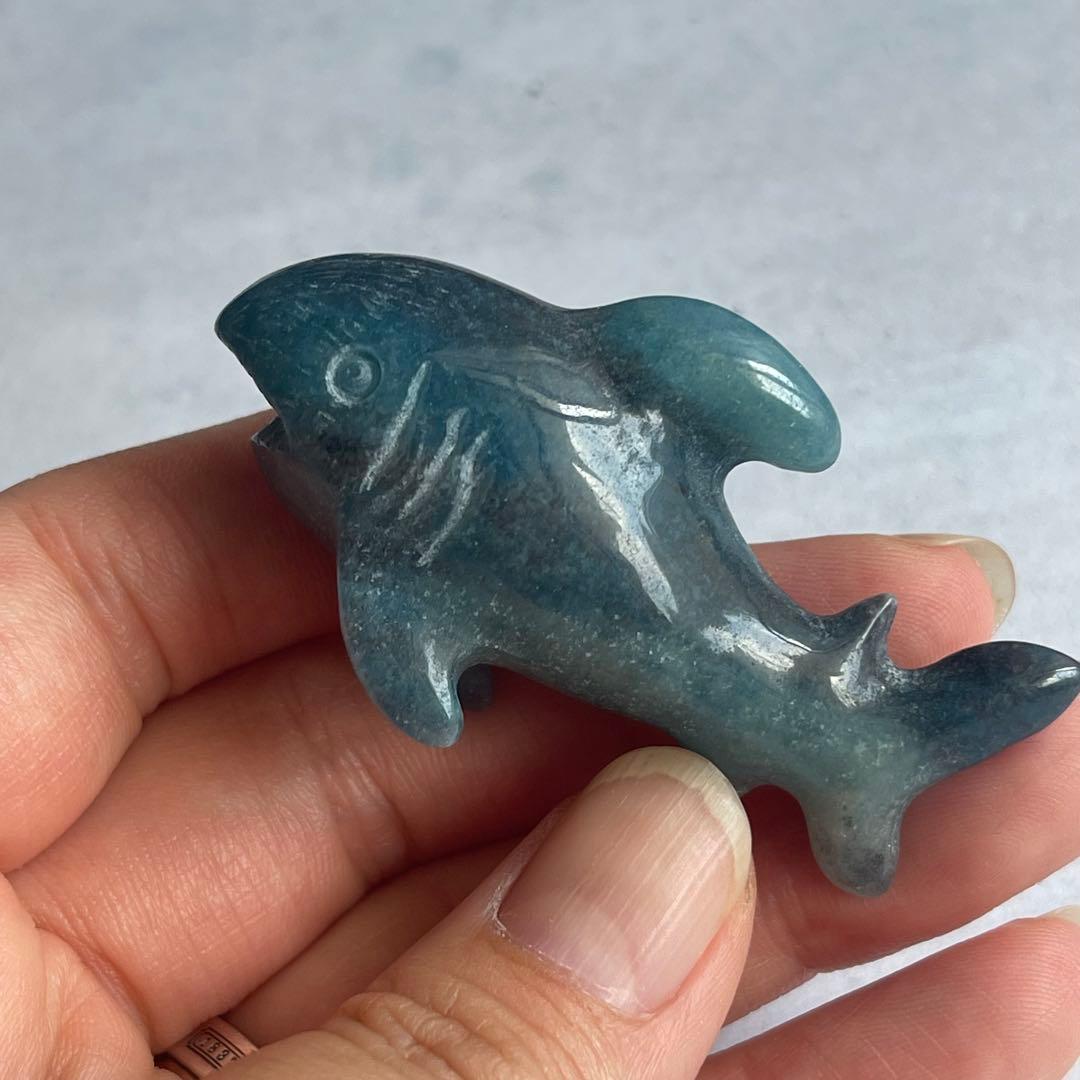 トロレアイト 鮫 サメ