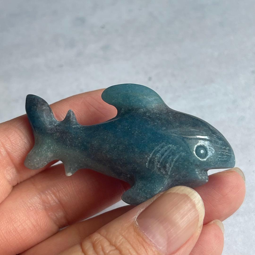 トロレアイト 鮫 サメ