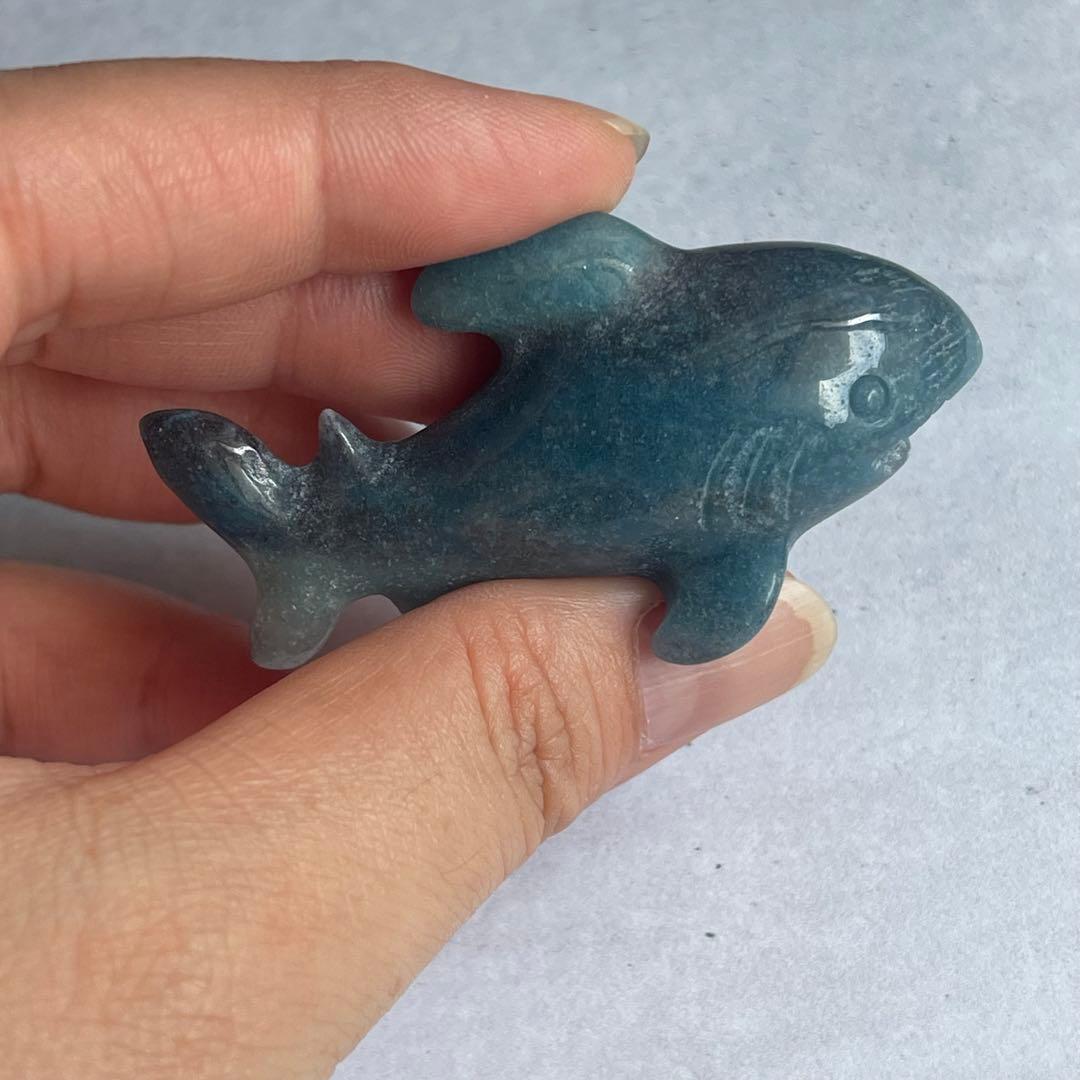 トロレアイト 鮫 サメ