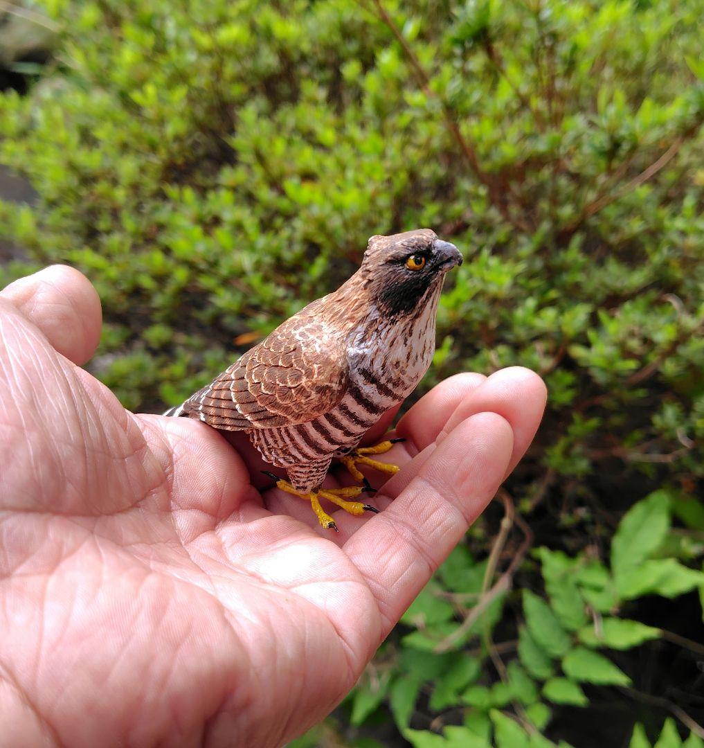 小さなバードカービング クマタカ 野鳥 木彫り