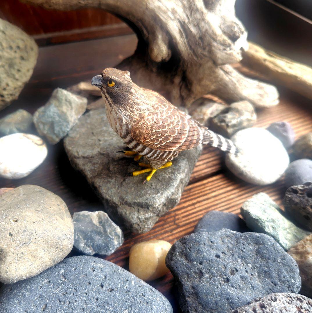 小さなバードカービング クマタカ 野鳥 木彫り