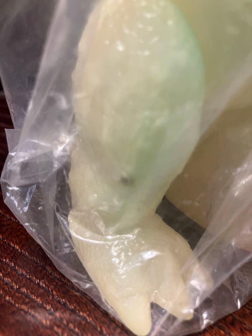 マルサンソフビ　バラゴン　電撃蓄光版