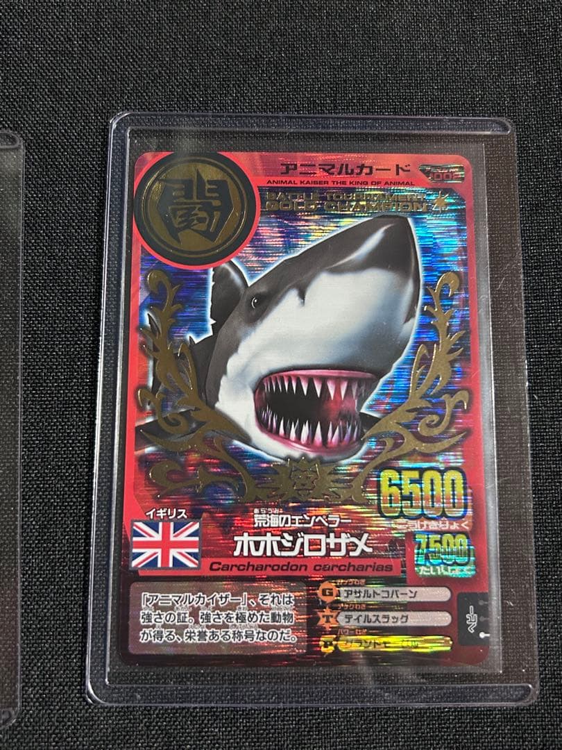 アニマルカイザー コバルト ホホジロザメ 6枚セット - メルカリ