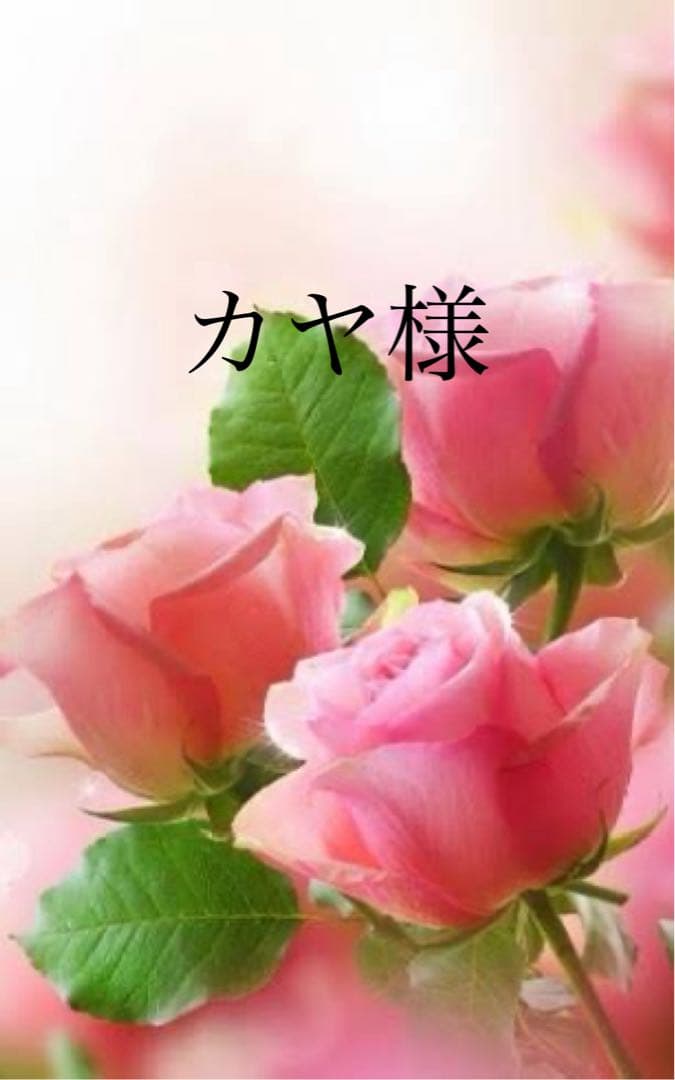 ＊カヤぺージ＊