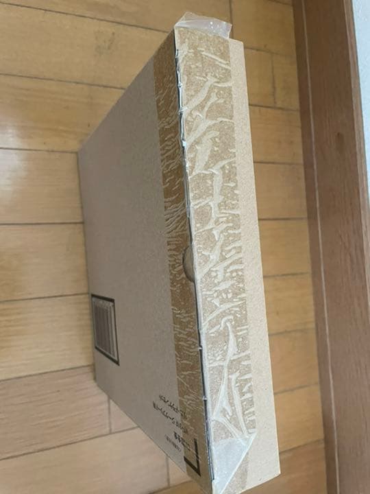 【激レア商品】DX超合金 VF-31F (スーパーパック+リルドラケン)セット