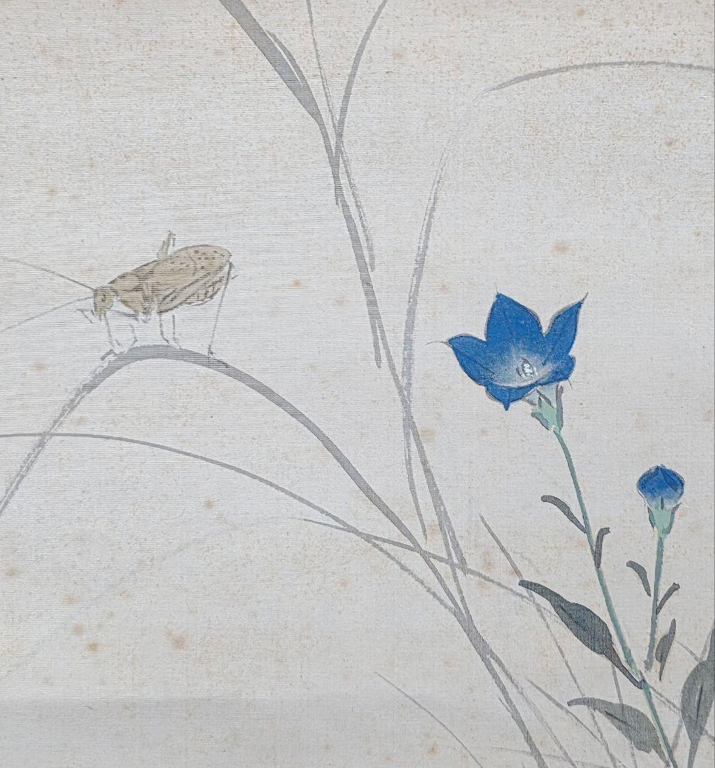 【秋草(桔梗に虫)図】今井景樹 2715 掛け軸 共箱 肉筆 秋掛け