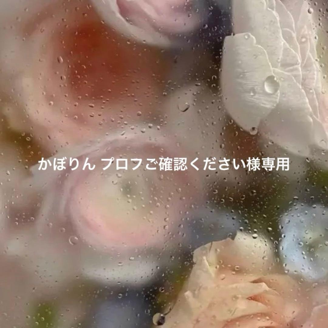 かぼりん プロフご確認ください