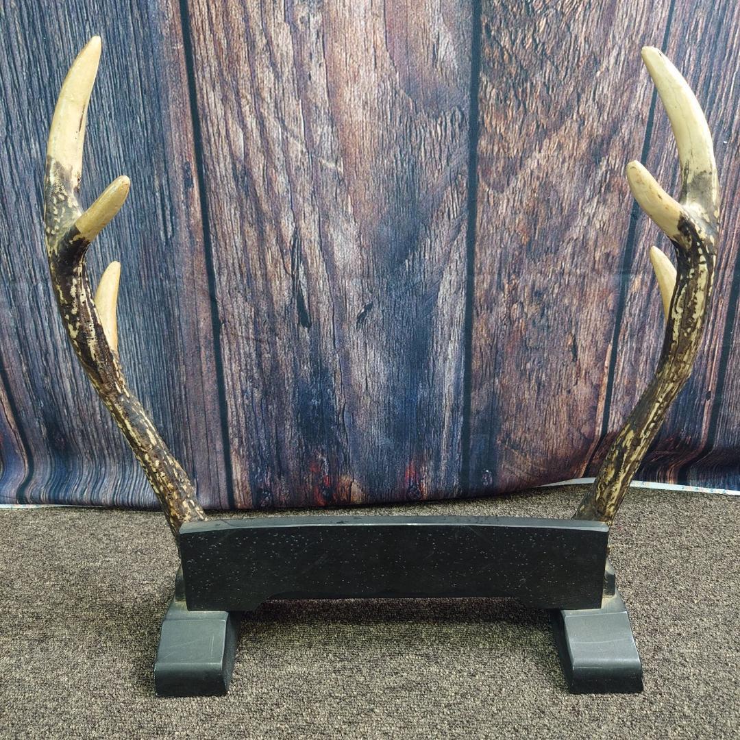 日本刀 鞘付き模造刀 大小2本セット 刀掛け鹿の角セット 観賞用