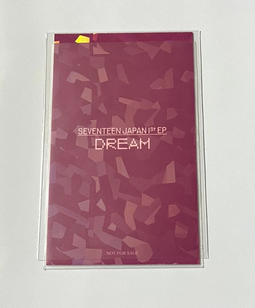 SEVENTEEN DREAM ユニバ ラキドロ ミンギュ