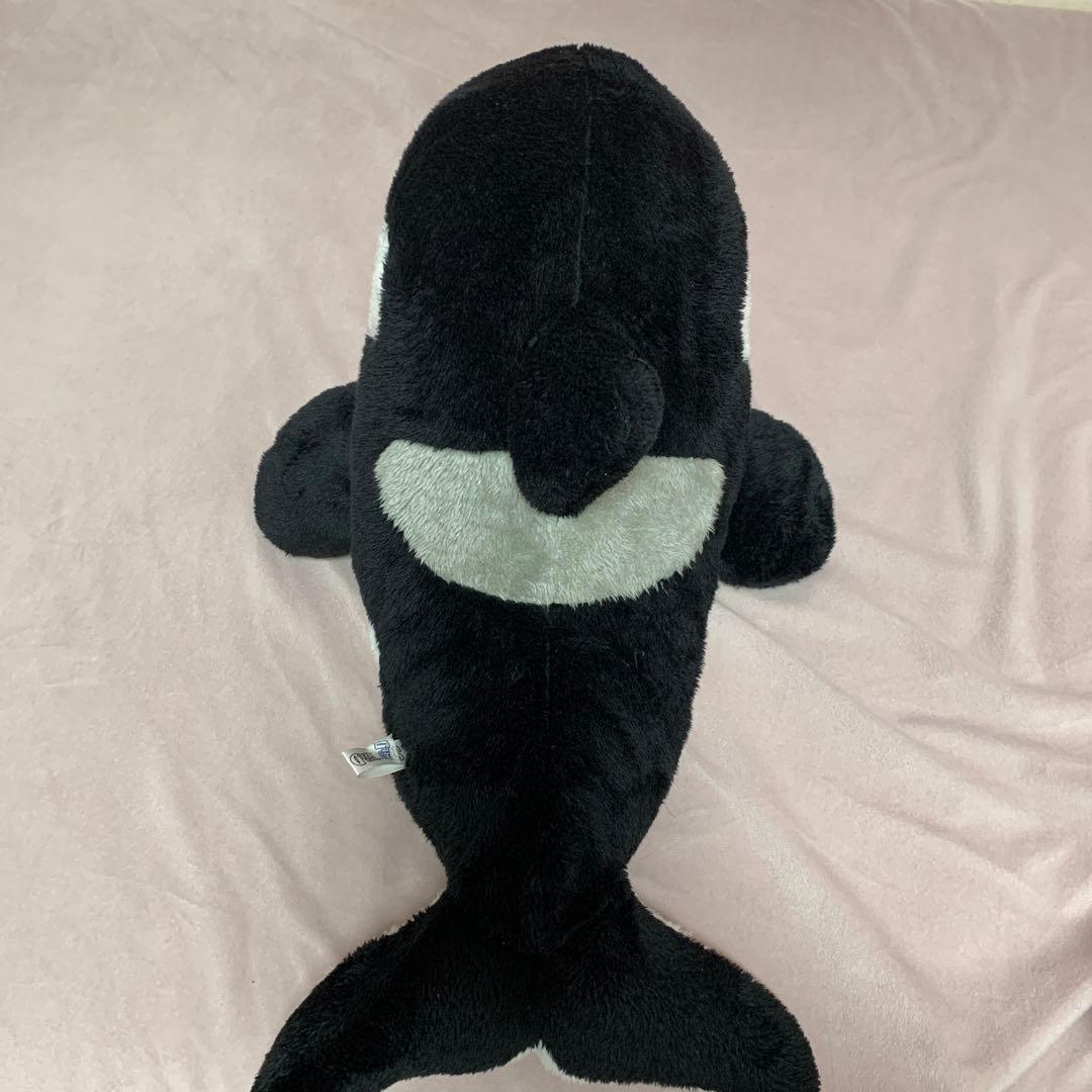 鴨川シーワールド シャチくじのぬいぐるみ 約30cm 3等 - メルカリ