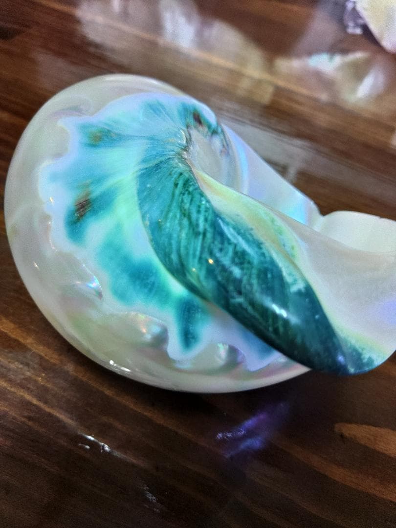 専用☆夜光貝　タカセ貝、置物