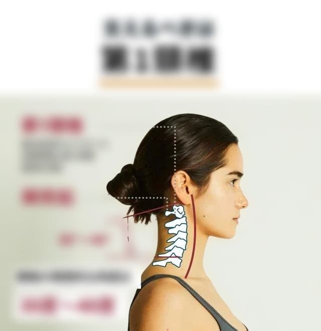 ブレインスリープピロー ストレッチ(本体のみ）