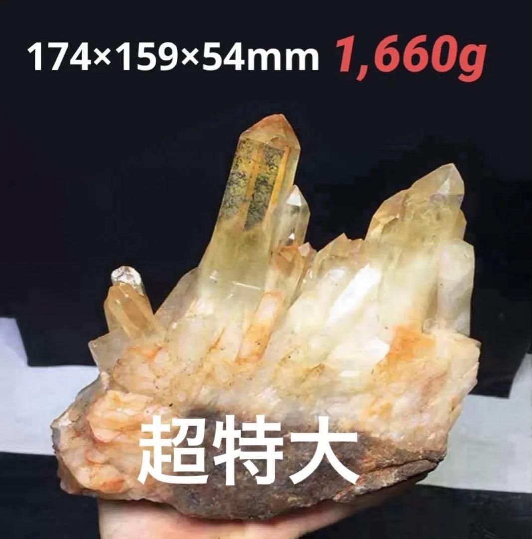 Borders様おまとめ専用ページ