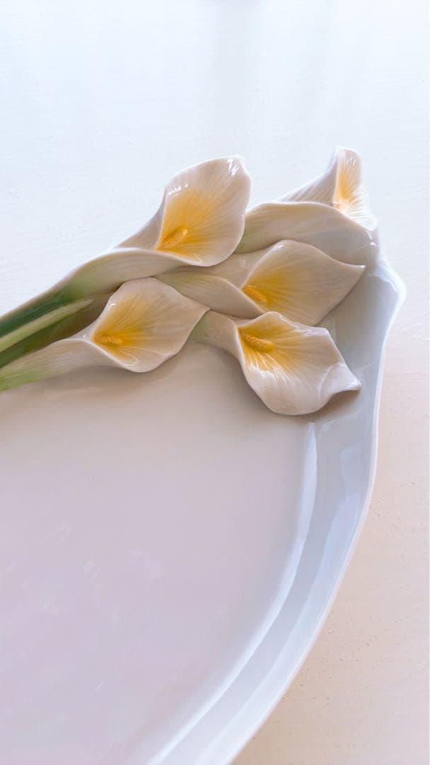 フランツコレクション FRANTZ カラーのプレート - メルカリ