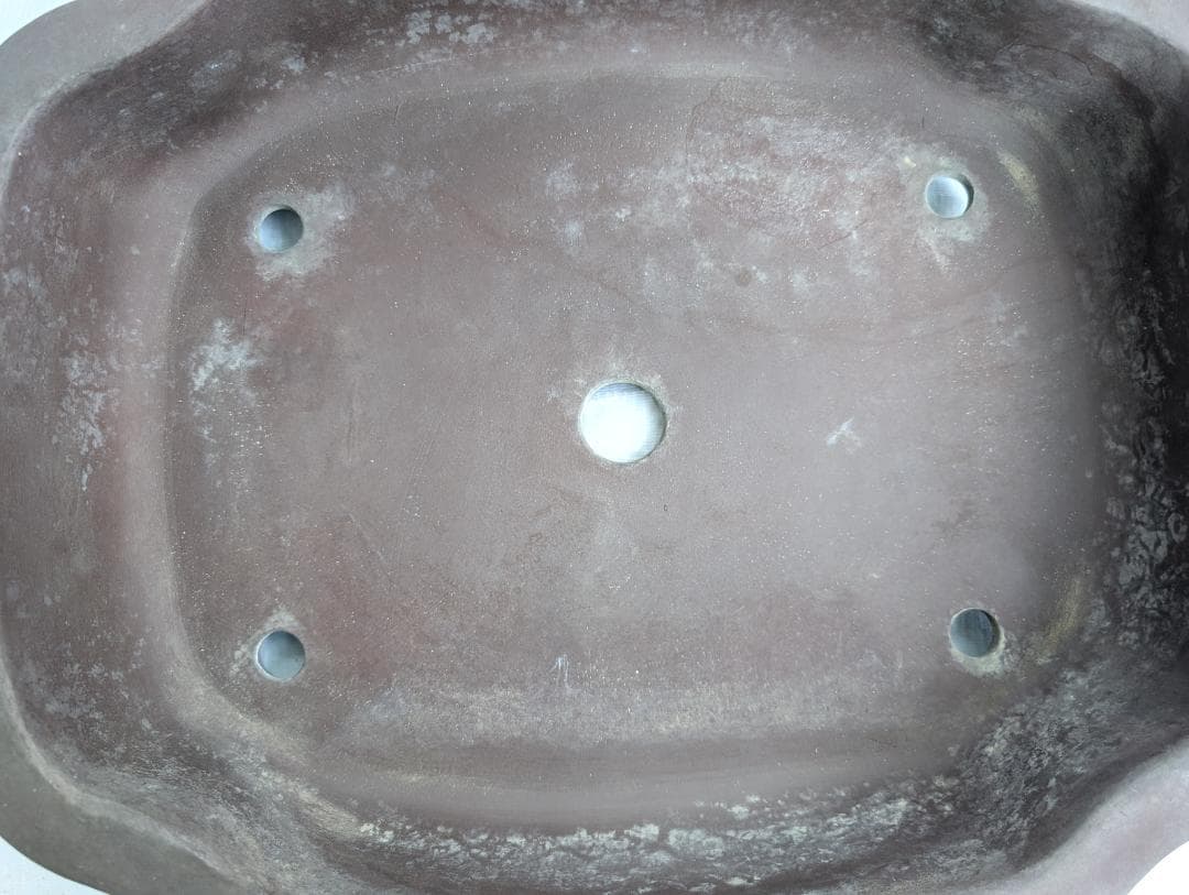 大型 盆栽鉢 約46.5cm 朱泥風 長方鉢 無銘 鉢植え 和鉢