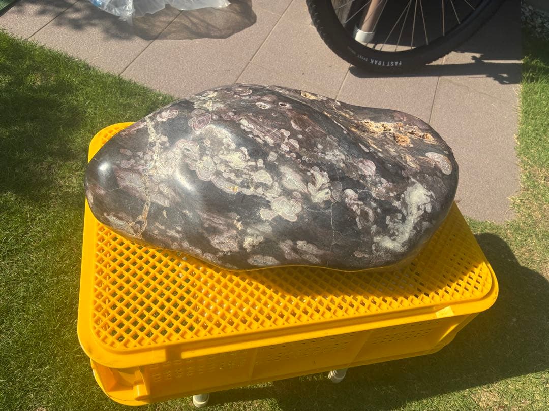 【梅花石】天然模様 大型観賞石 水石 コレクション インテリア