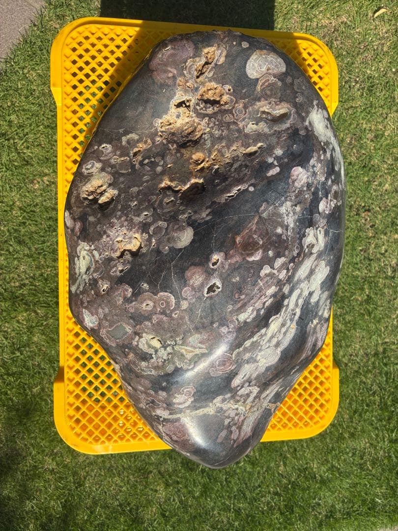 【梅花石】天然模様 大型観賞石 水石 コレクション インテリア