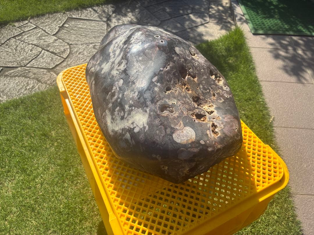 【梅花石】天然模様 大型観賞石 水石 コレクション インテリア