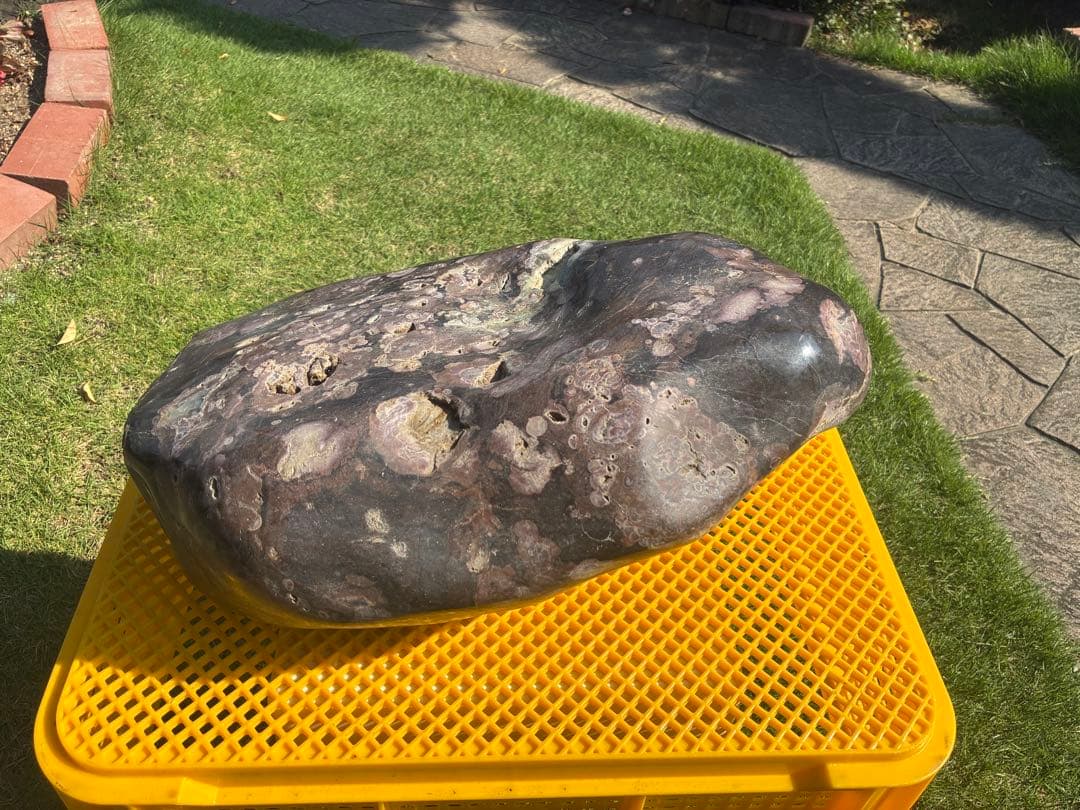 【梅花石】天然模様 大型観賞石 水石 コレクション インテリア