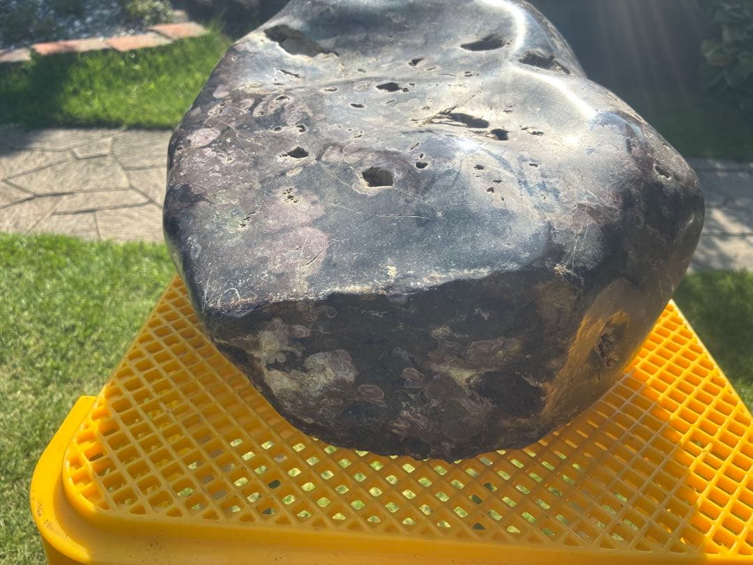 【梅花石】天然模様 大型観賞石 水石 コレクション インテリア