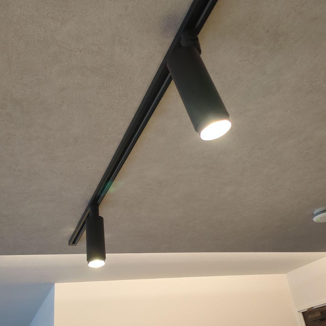 EDISON SMART スポットライト２個セット ダクトレール用 リモコン付き