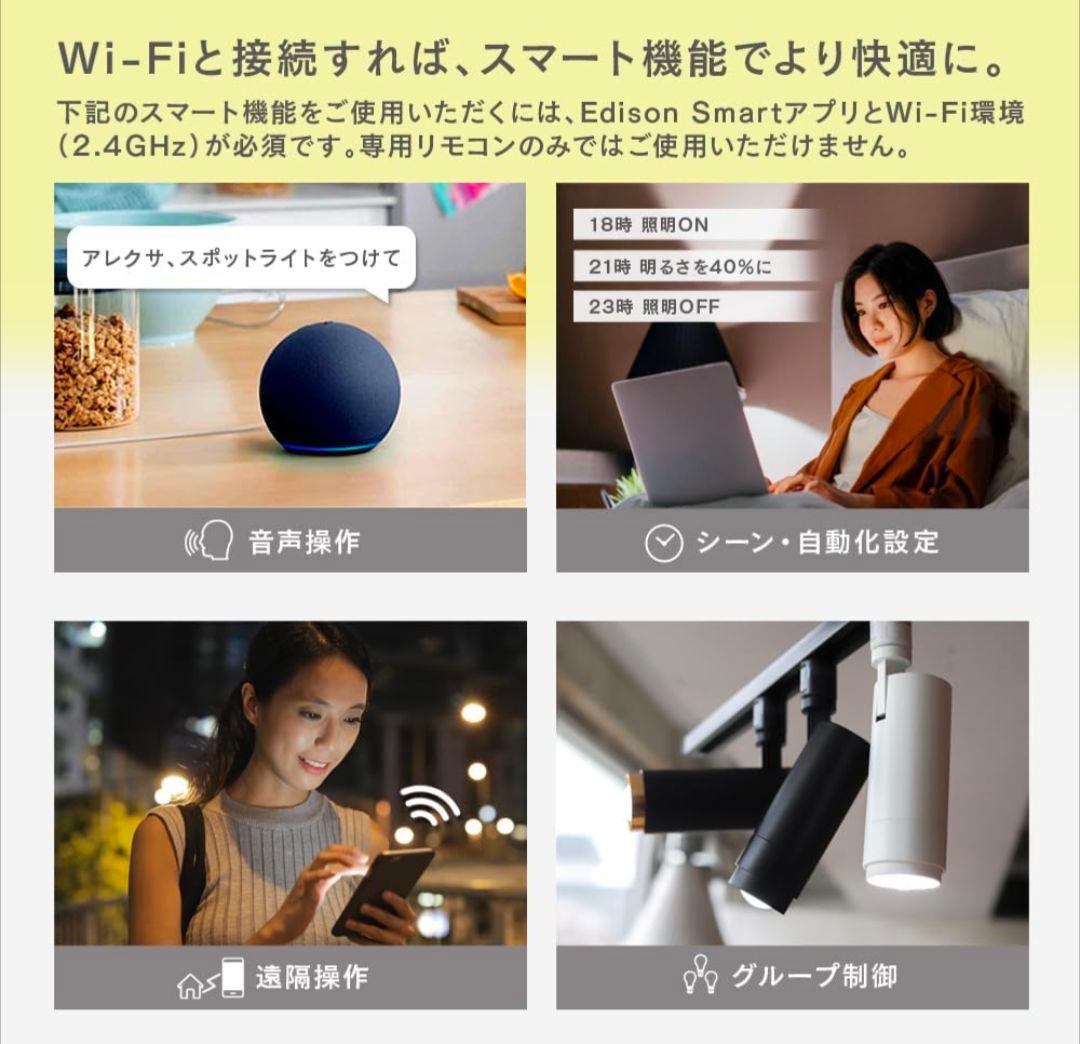 EDISON SMART スポットライト２個セット ダクトレール用 リモコン付き