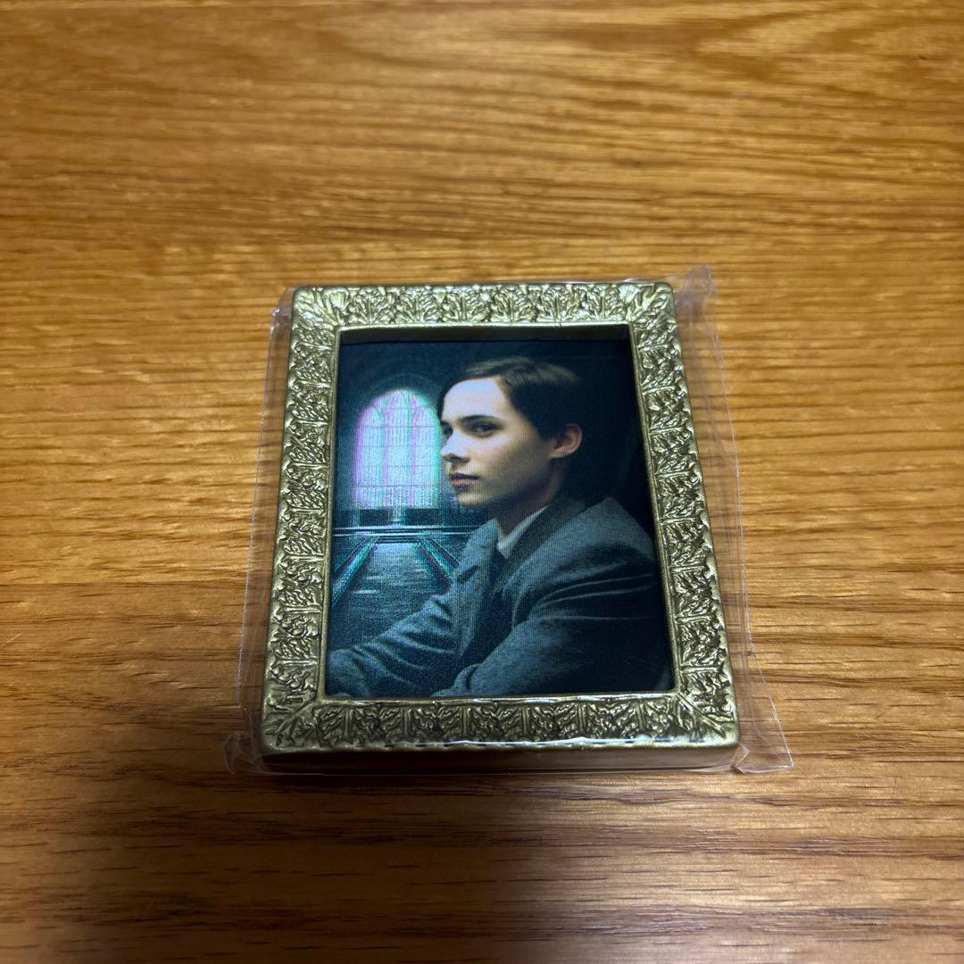 ハリーポッター 肖像画マグネットコレクション トムリドル - メルカリ