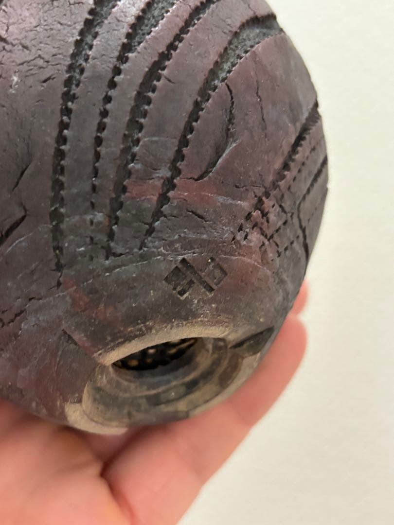 グラキリス 現地球 鶴仙園 関口貴仁 セキグチタカヒト