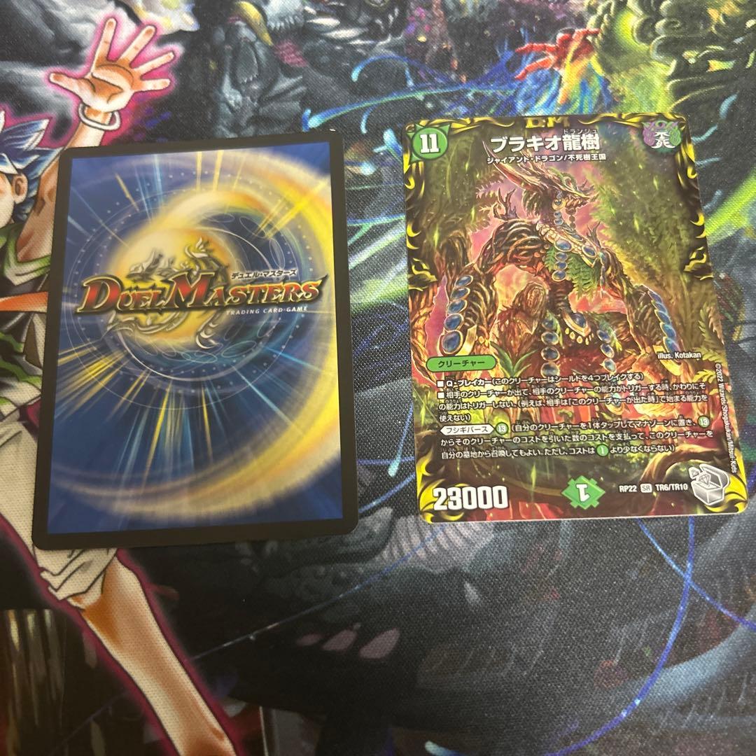 フラギオ龍樹 二枚