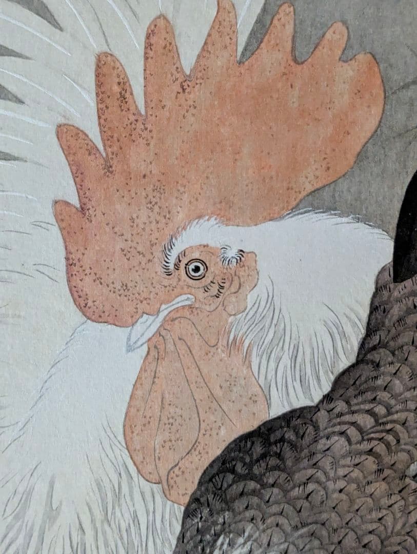 小原古邨「雄鶏と雌鶏」本物木版画