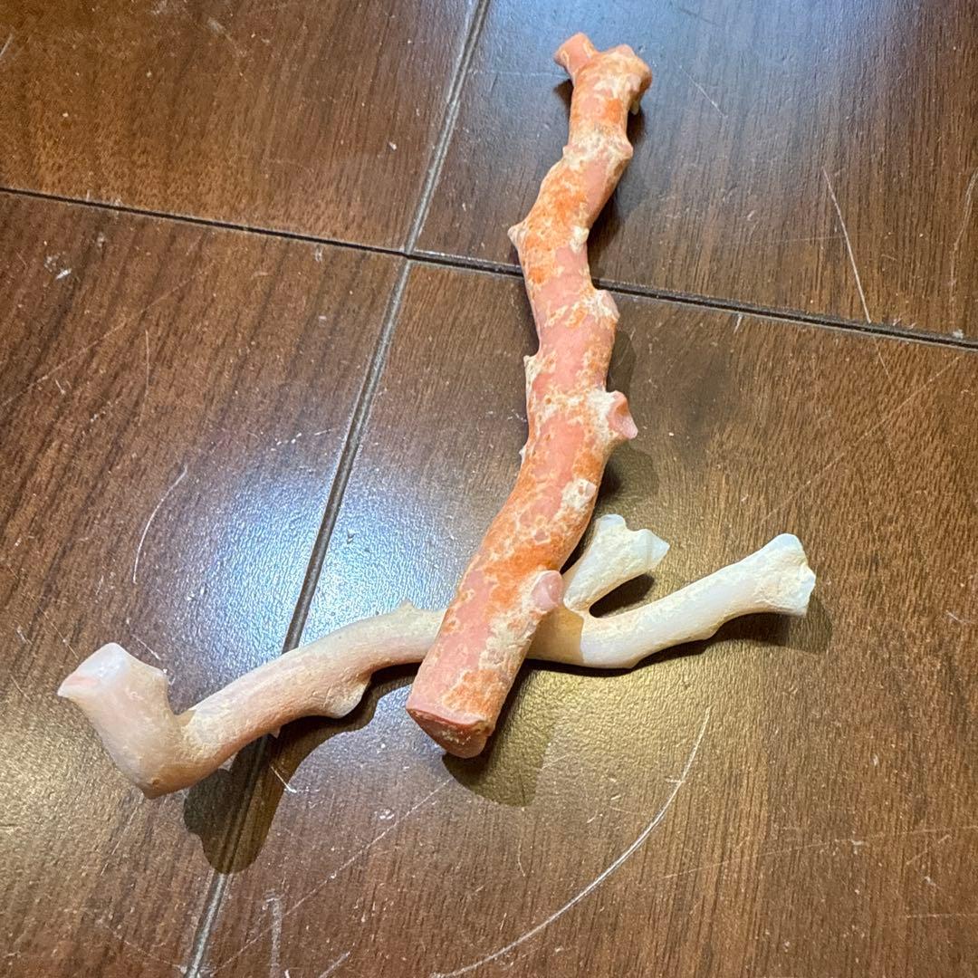 天然素材 コーラル 枝状パーツ 44.3g