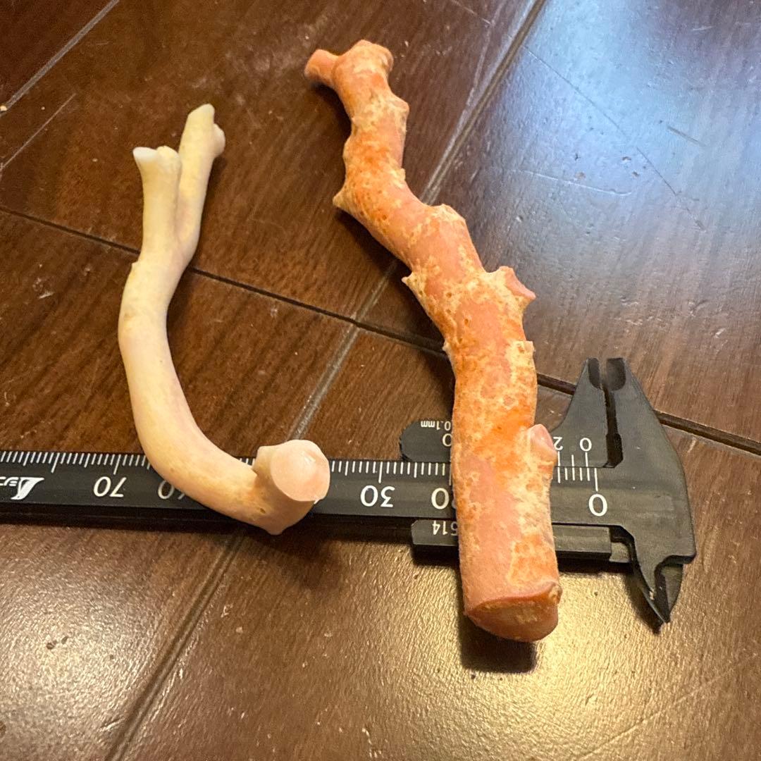 天然素材 コーラル 枝状パーツ 44.3g