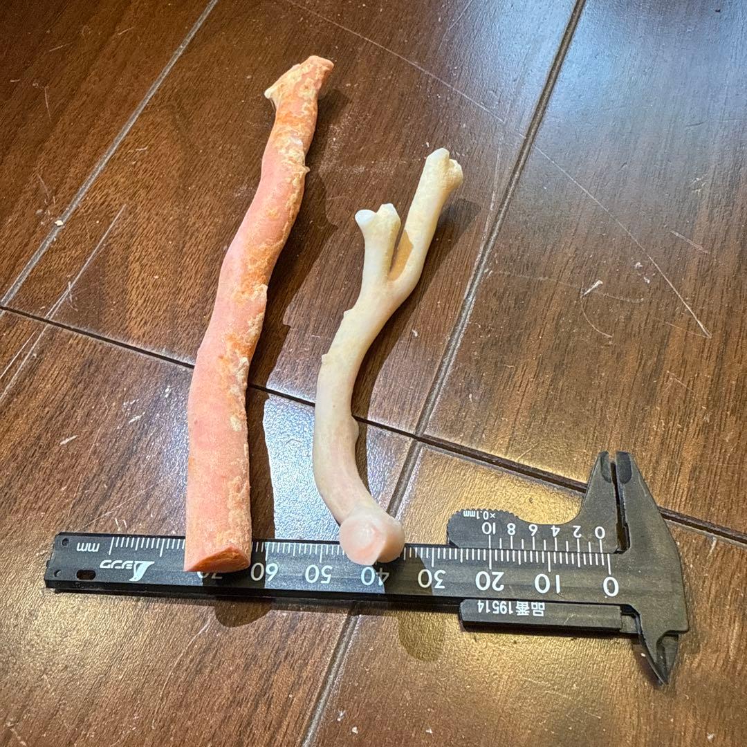 天然素材 コーラル 枝状パーツ 44.3g