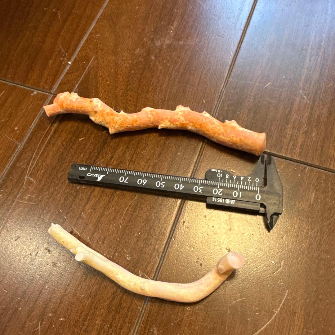 天然素材 コーラル 枝状パーツ 44.3g