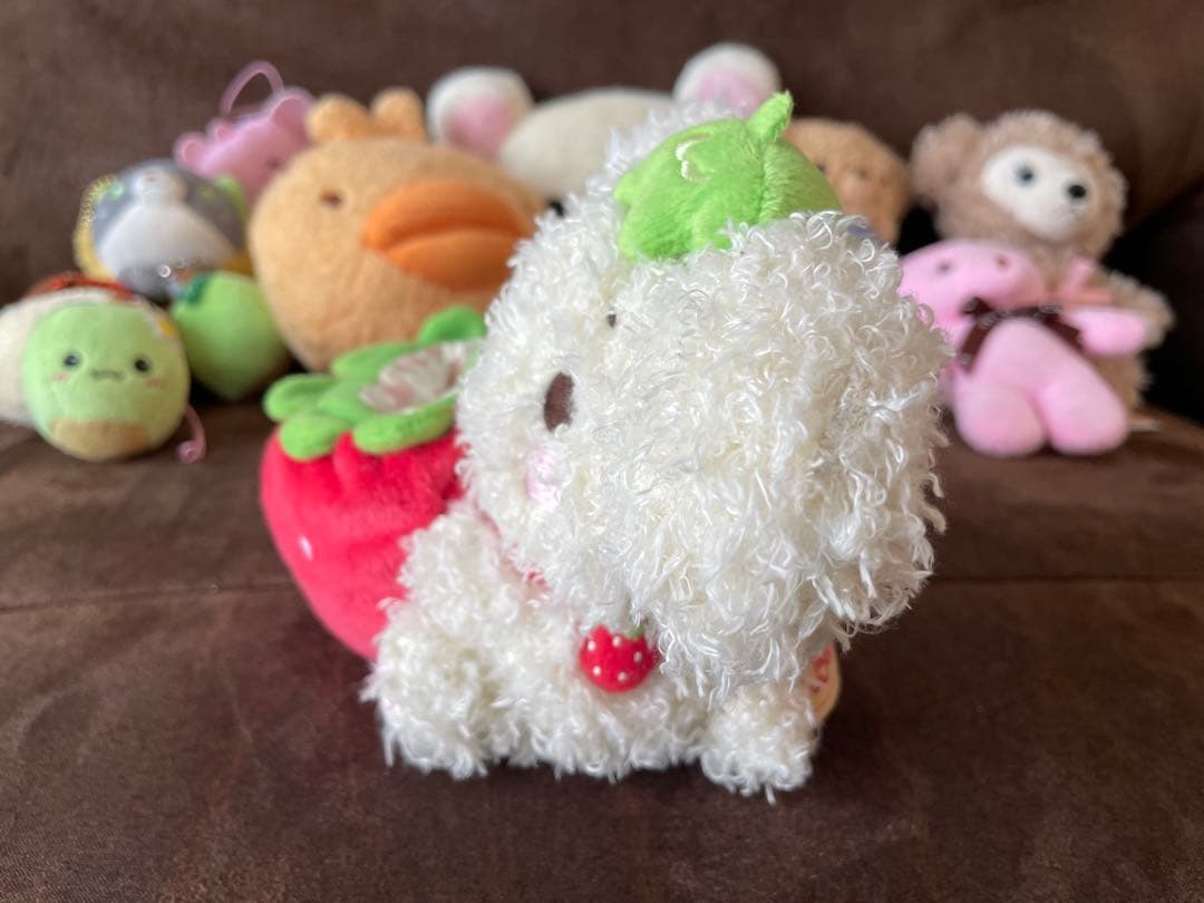 サンエックス ベリーパピィBerry Puppy ぬいぐるみ リラックマ 等