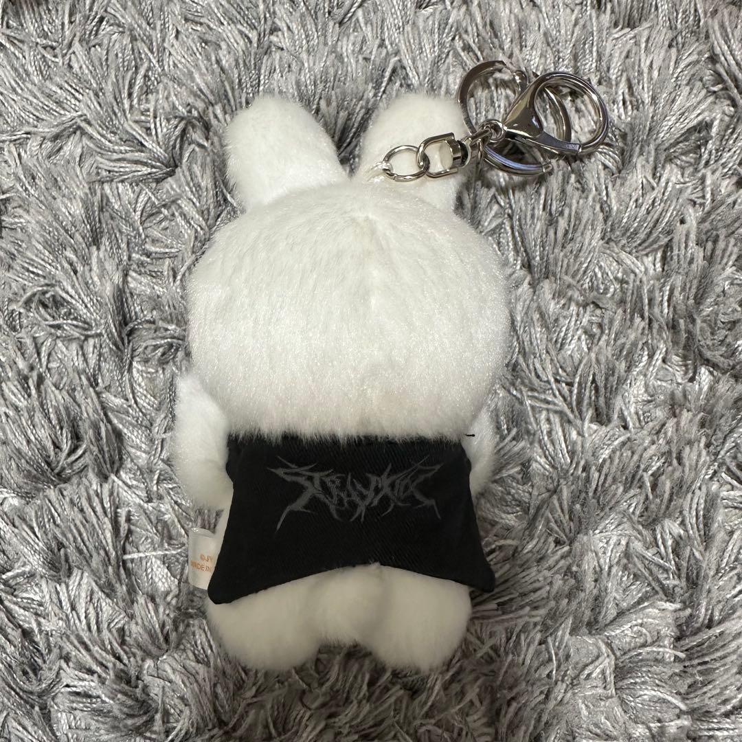 Stray Kids SKZOO マグネットキーリング 10CM リービット - メルカリ