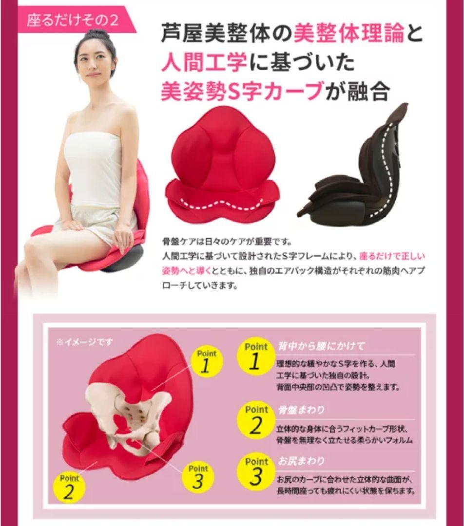 《美品》StyllyAir ヒーター機能付きクッション ダークブラウン