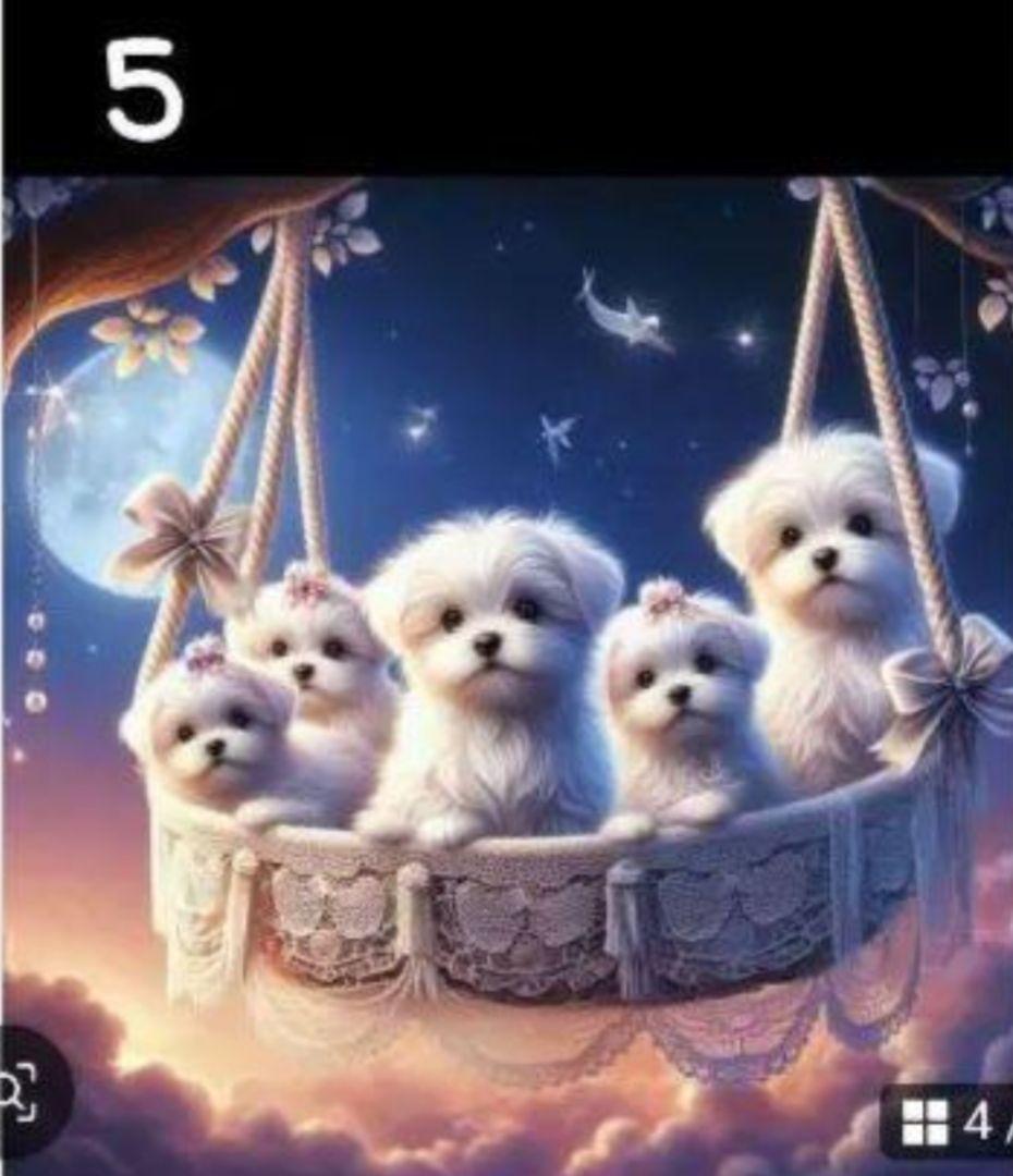 ♥むっち♥ ♡♬.*゜様　オーダーページ　6/1