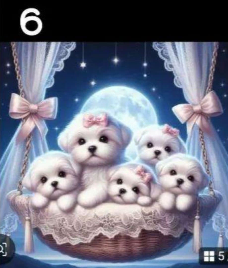 ♥むっち♥ ♡♬.*゜様　オーダーページ　6/1