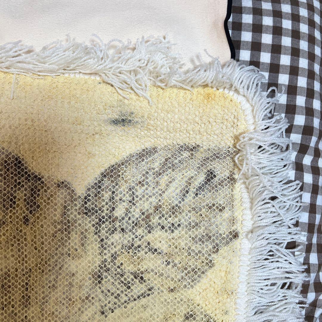 ‼️超注目商品‼️懐かしALBA ROSA玄関 マット‼️ バックのおまけ付き‼️