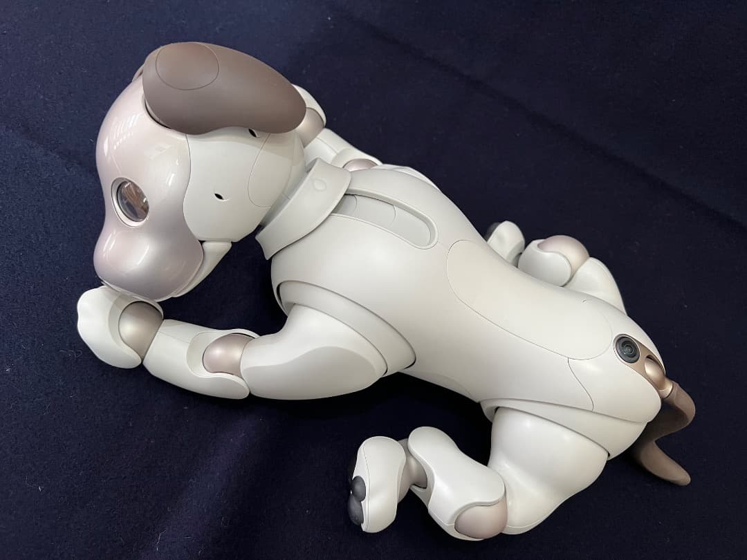 美品　期間限定　ソニーアイボAIBO　アイボリーホワイト　動作確認済【匿名配送】