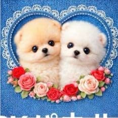 きゃんべる様パネル生地ご確認ページ②