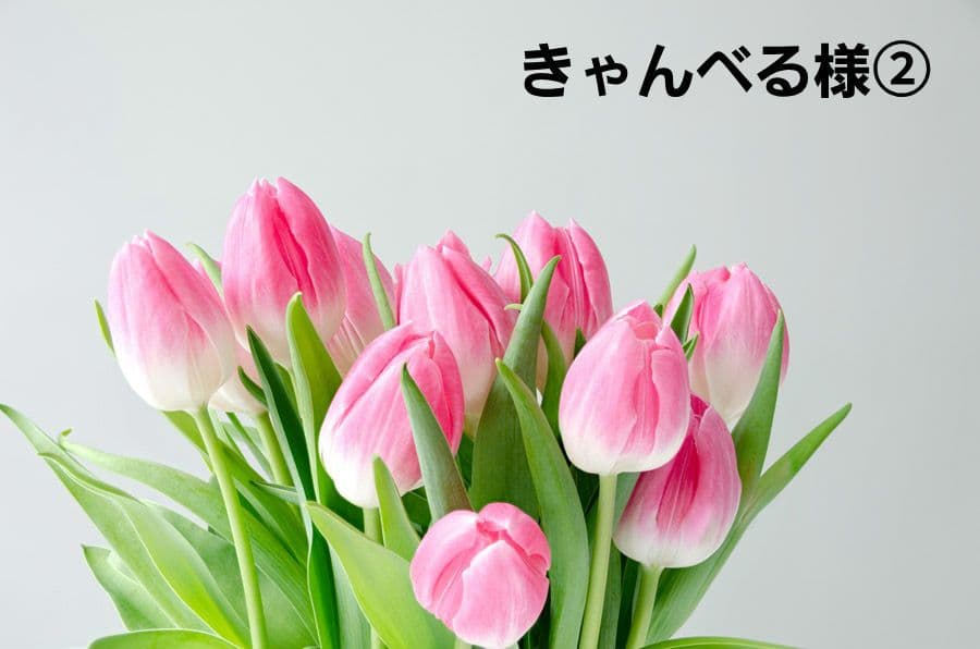 きゃんべる様パネル生地ご確認ページ②